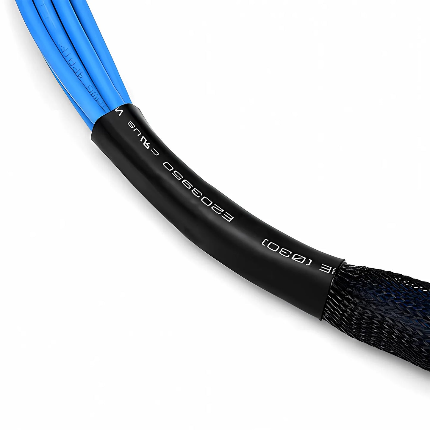 33ft (10m) 6 Plug to 6 Plug Cat6 Unshielded (UTP) PVC CMR Blue Pre-Terminated Copper Trunk Cable