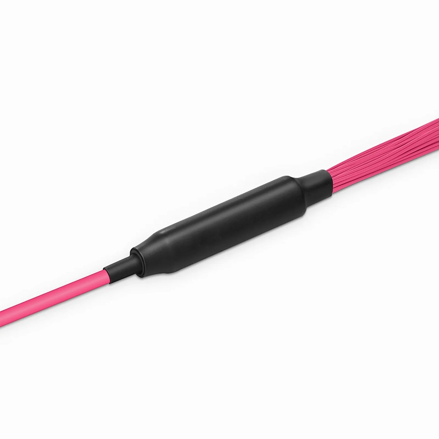 30m (98ft) MTP® Hybrid Trunk Cable, MTP®-8 UPC (Female) to 4 LC UPC Duplex Uniboot, 32 Fibers, Multimode (OM4), Plenum (OFNP), 0.20dB Max, Type B, Double Jacket, Magenta