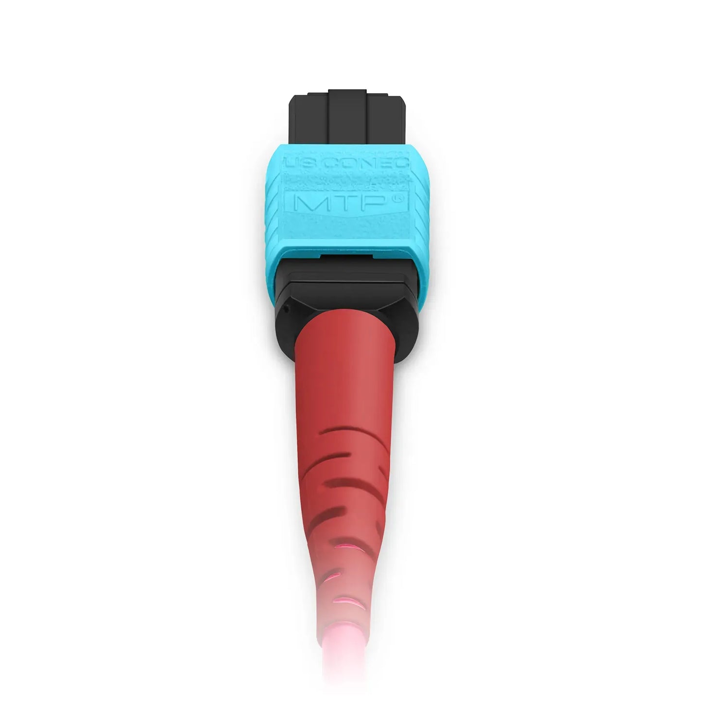 5m (16ft) MTP® Breakout Cable, MTP®-24 UPC (Female) to 2 x MTP®-12 UPC (Female), 24 Fibers, Multimode (OM4), Plenum (OFNP), 0.35dB Max, Type A, Magenta