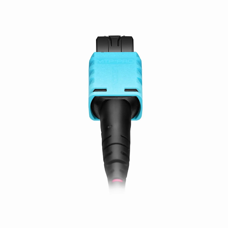 Refurb Squared 2m (7ft) MTP® PRO Jumper, MTP® PRO-12 UPC (Male) to MTP® PRO-12 UPC (Male), 12 Fibers, Multimode (OM4), Plenum (OFNP), 0.35dB Max, Type B, Magenta
