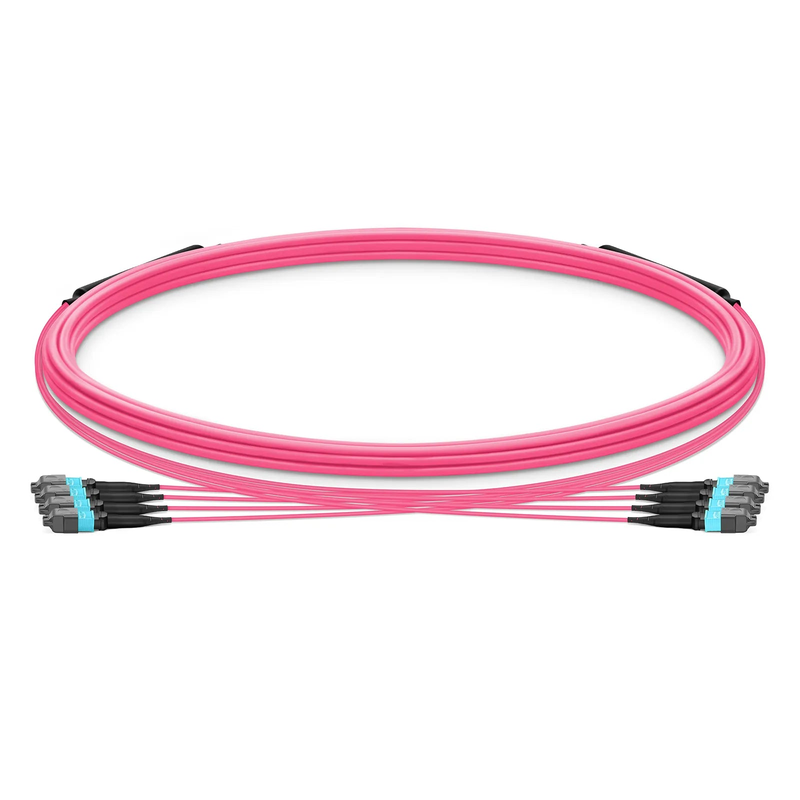 Refurb Squared 5m (16ft) MTP® Trunk Cable, MTP®-12 UPC (Female) to MTP®-12 UPC (Female), 48 Fibers, Multimode (OM4), Plenum (OFNP), 0.20dB Max, Type B, Double Jacket, Magenta