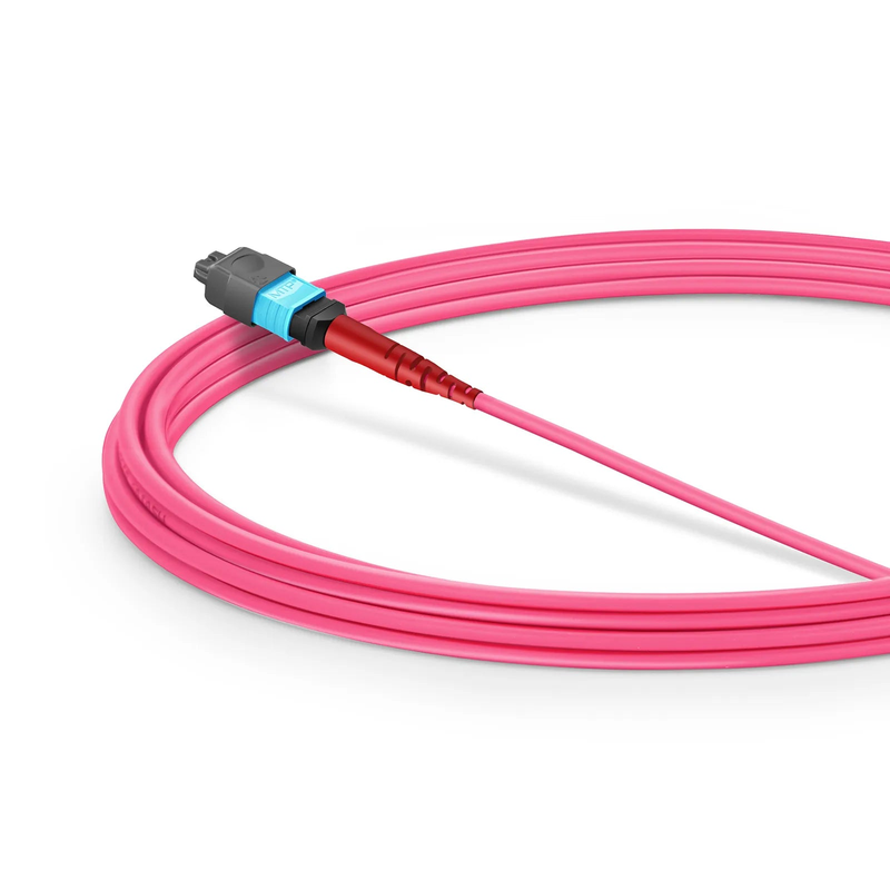 Refurb Squared 3m (10ft) MMC Jumper, MMC-24 APC (Female) to MTP®-24 UPC (Female), 24 Fibers, Multimode (OM4), Plenum (OFNP), 0.35dB Max, Jumper Polarity, Magenta