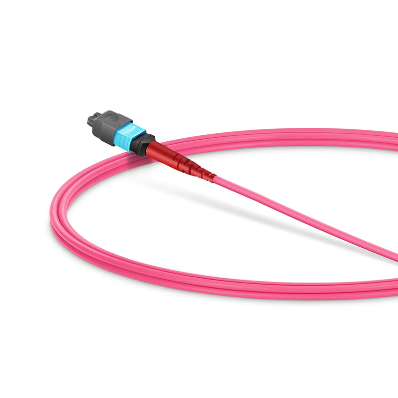 Refurb Squared 1m (3ft) MMC Jumper, MMC-24 APC (Female) to MTP®-24 UPC (Female), 24 Fibers, Multimode (OM4), Plenum (OFNP), 0.35dB Max, Jumper Polarity, Magent