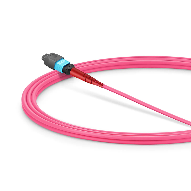 Refurb Squared 2m (7ft) MMC Jumper, MMC-24 APC (Female) to MTP®-24 UPC (Female), 24 Fibers, Multimode (OM4), Plenum (OFNP), 0.35dB Max, Jumper Polarity, Magenta
