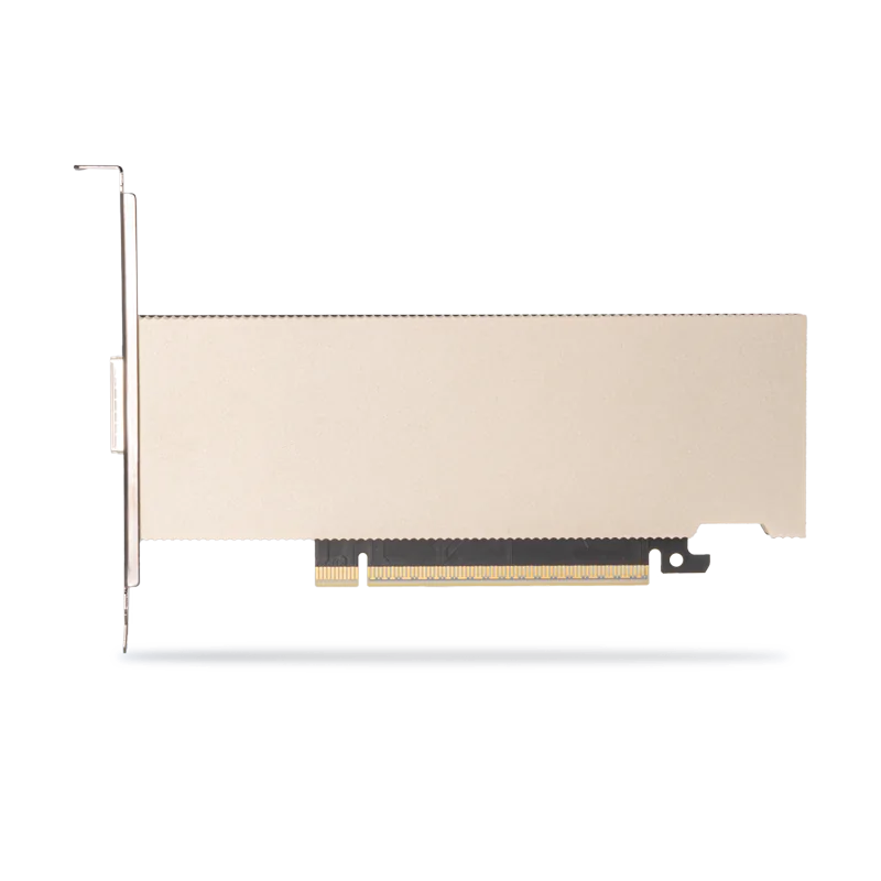 Networking Adapters (RoCE)