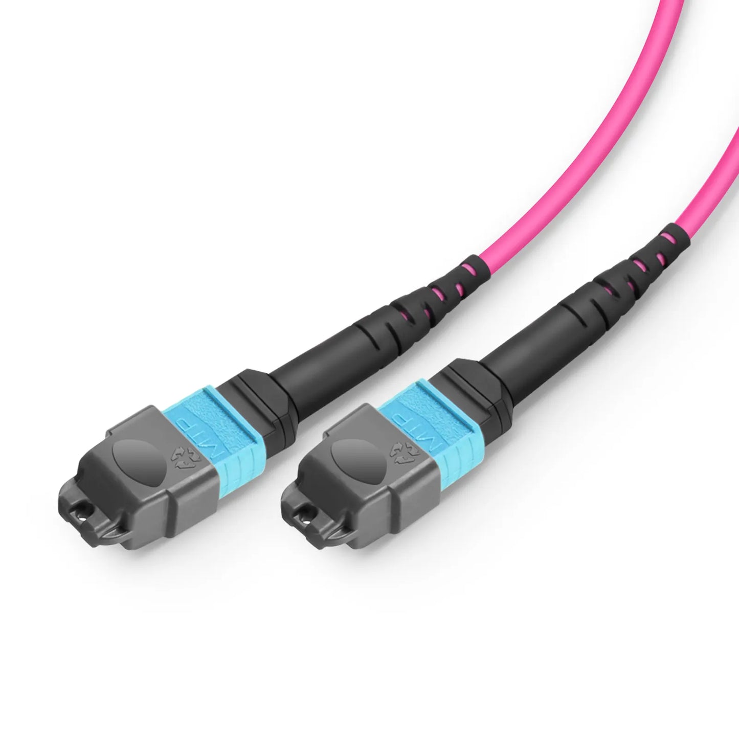 2m (7ft) MTP® Breakout Cable, MTP®-24 UPC (Female) to 2 x MTP®-12 UPC (Female), 24 Fibers, Multimode (OM4), Plenum (OFNP), 0.35dB Max, Type A, Magenta