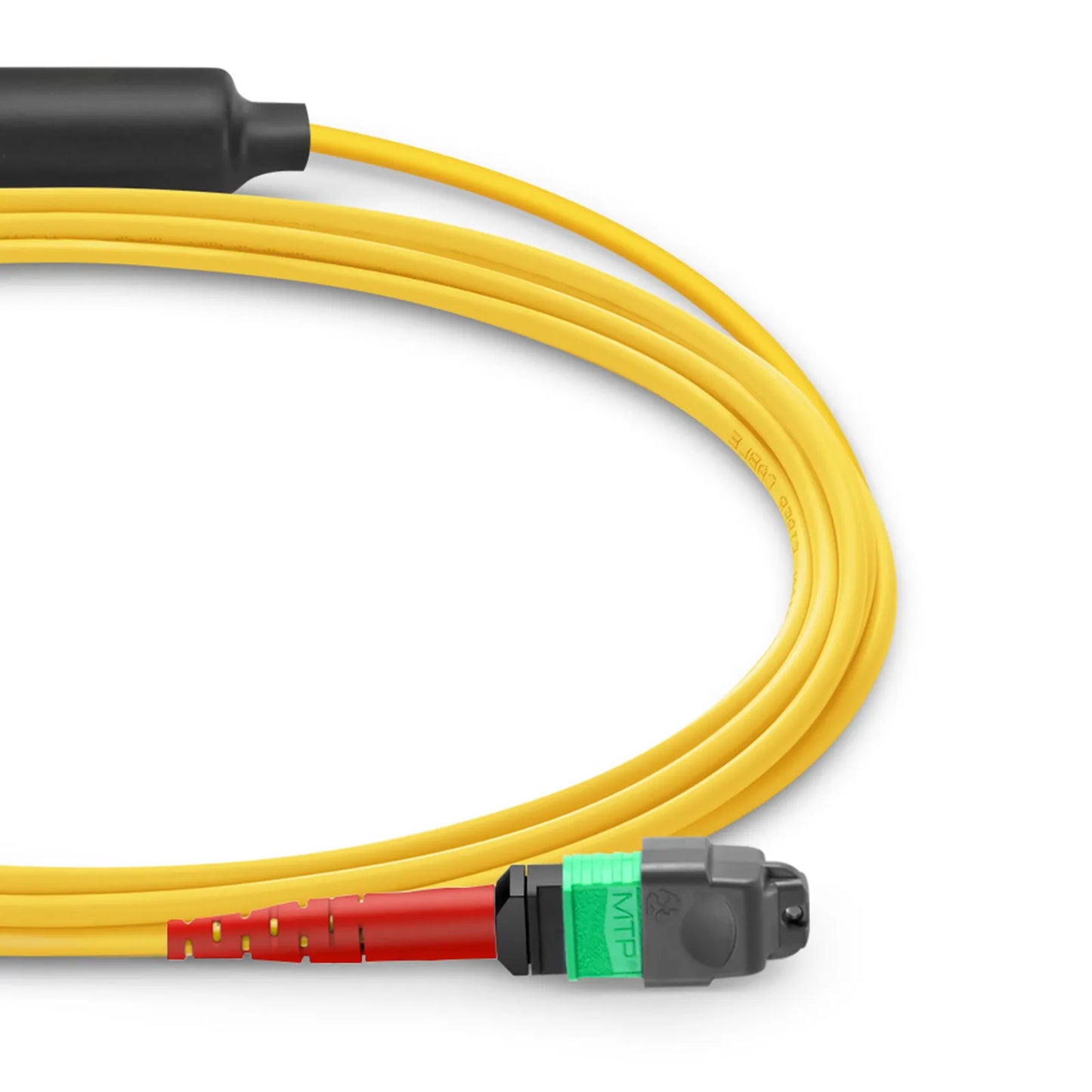 3m (10ft) MTP® Breakout Cable, MTP®-24 APC (Female) to 2 x MTP®-12 APC (Female), 24 Fibers, Single Mode (OS2), Plenum (OFNP), 0.35dB Max, Type A, Yellow