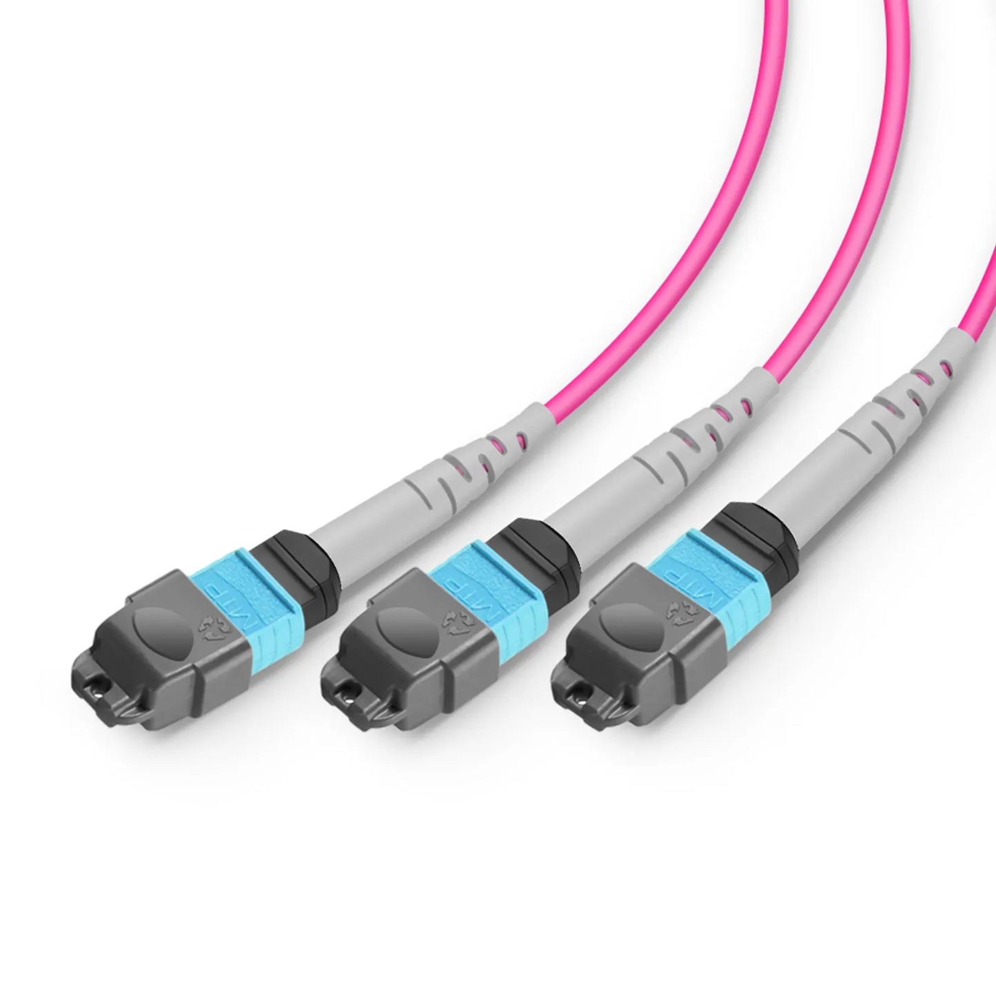 2m (7ft) MTP® Breakout Cable, MTP®-24 UPC (Female) to 3 x MTP®-8 UPC (Female), 24 Fibers, Multimode (OM4), Plenum (OFNP), 0.35dB Max, Type B, Magenta