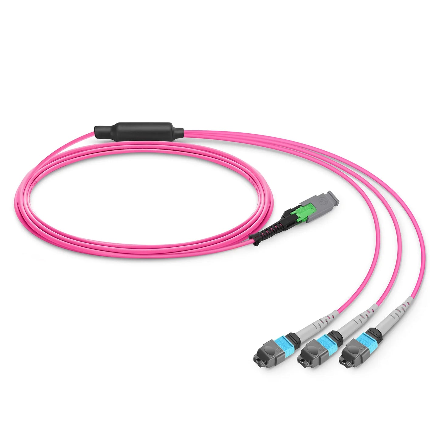 1m (3ft) MMC Breakout Cable, MMC-24 APC (Female) to 3 x MTP®-8 UPC (Female), 24 Fibers, Multimode (OM4), Plenum (OFNP), 0.35dB Max, Jumper Polarity, Magenta