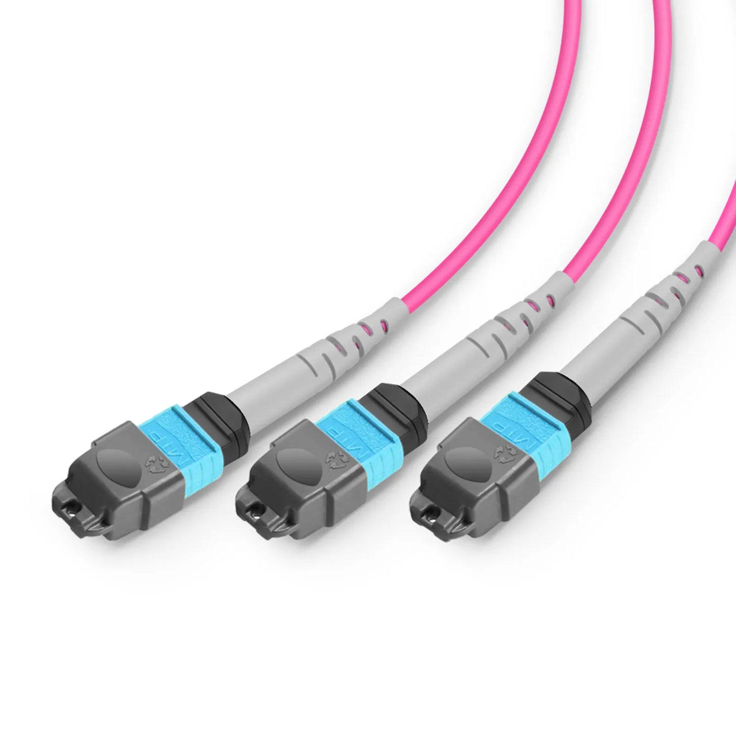 2m (7ft) MMC Breakout Cable, MMC-24 APC (Female) to 3 x MTP®-8 UPC (Female), 24 Fibers, Multimode (OM4), Plenum (OFNP), 0.35dB Max, Jumper Polarity, Magenta