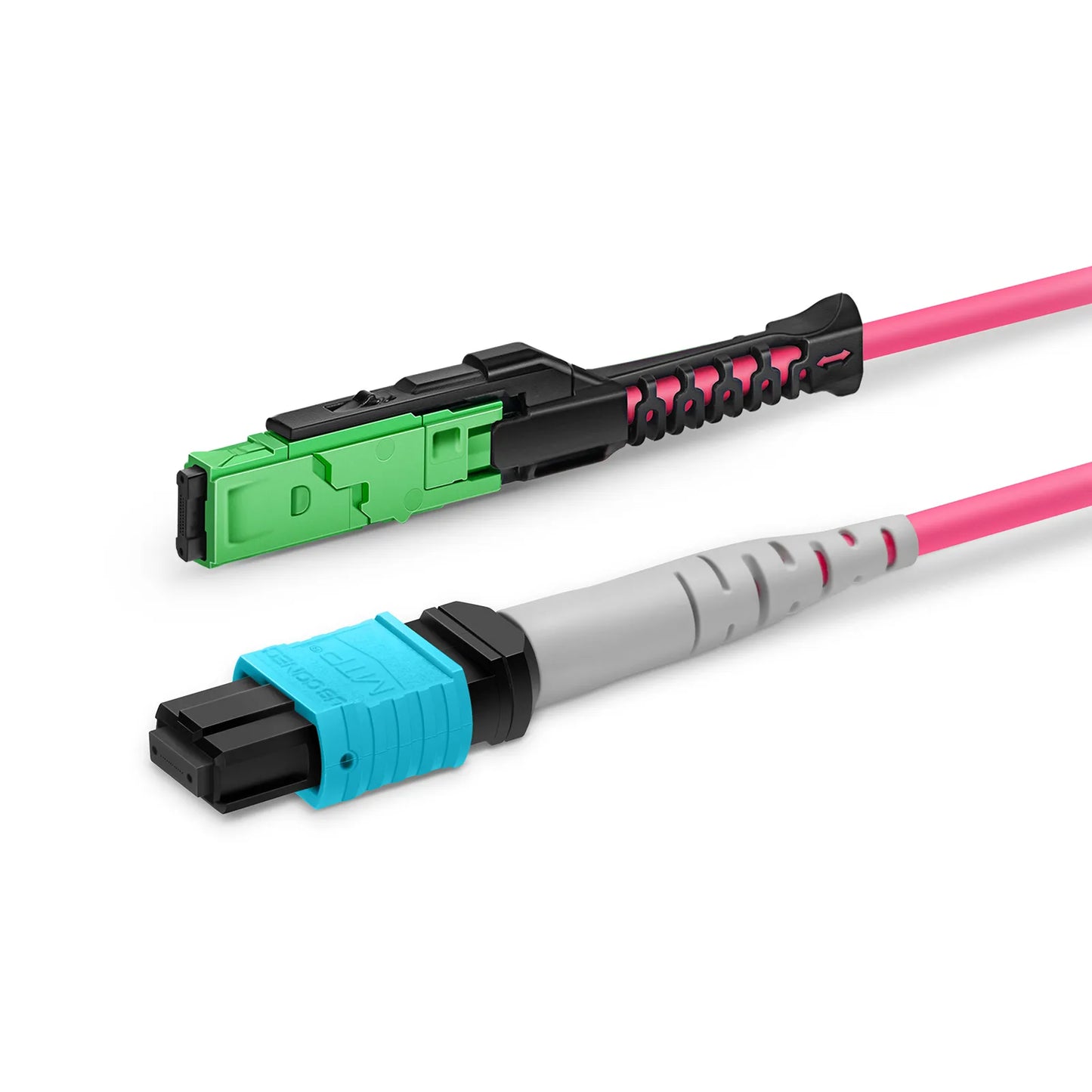 2m (7ft) MMC Breakout Cable, MMC-24 APC (Female) to 3 x MTP®-8 UPC (Female), 24 Fibers, Multimode (OM4), Plenum (OFNP), 0.35dB Max, Jumper Polarity, Magenta