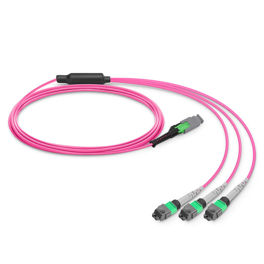 1m (3ft) MMC Breakout Cable, MMC-24 APC (Female) to 3 x MTP®-8 APC (Female), 24 Fibers, Multimode (OM4), Plenum (OFNP), 0.35dB Max, Jumper Polarity, Magenta