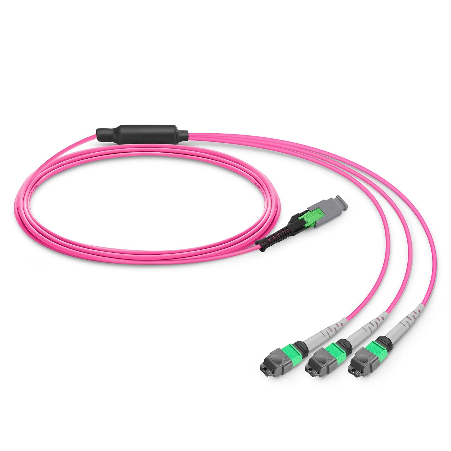 3m (10ft) MMC Breakout Cable, MMC-24 APC (Female) to 3 x MTP®-8 APC (Female), 24 Fibers, Multimode (OM4), Plenum (OFNP), 0.35dB Max, Jumper Polarity, Magenta