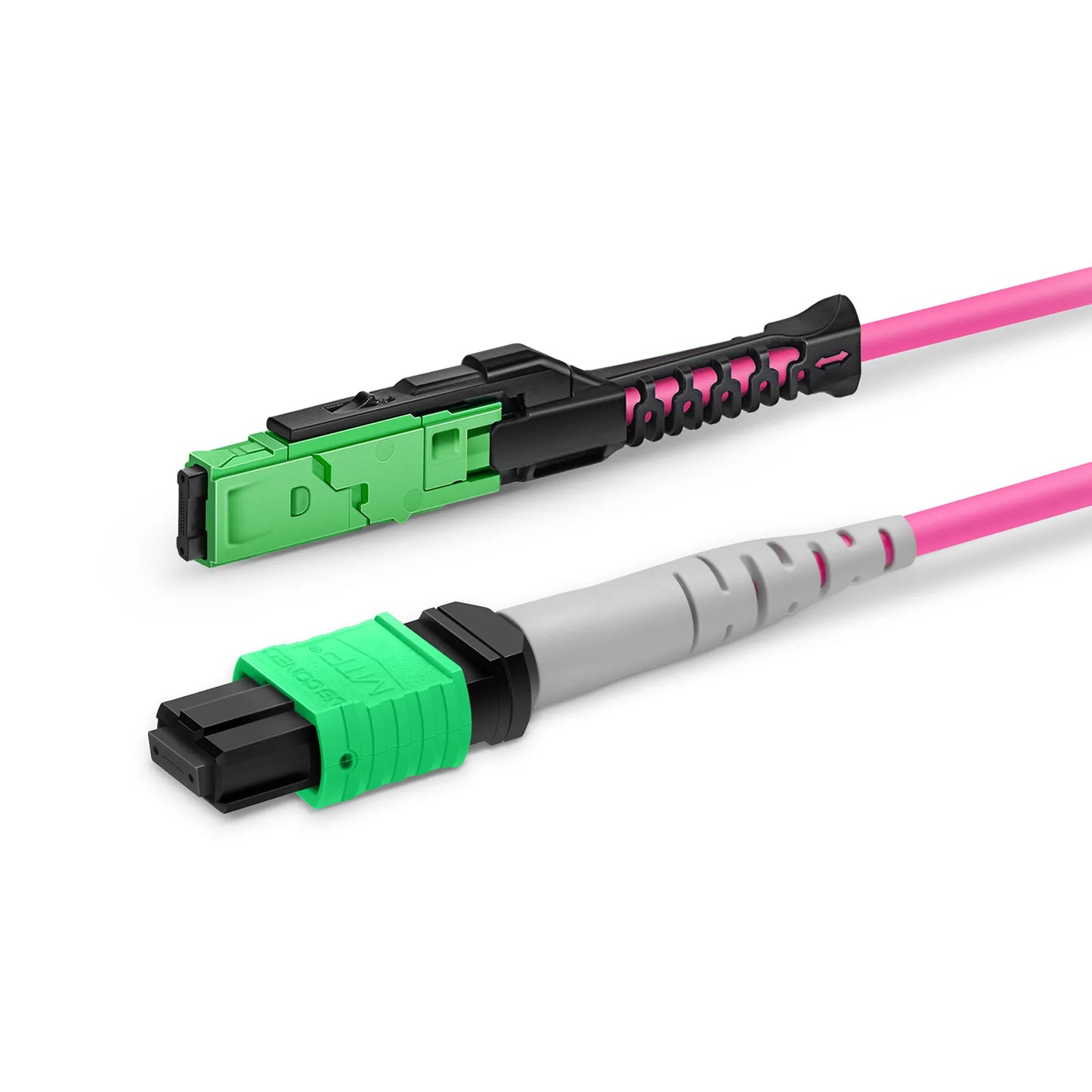 1m (3ft) MMC Breakout Cable, MMC-24 APC (Female) to 3 x MTP®-8 APC (Female), 24 Fibers, Multimode (OM4), Plenum (OFNP), 0.35dB Max, Jumper Polarity, Magenta