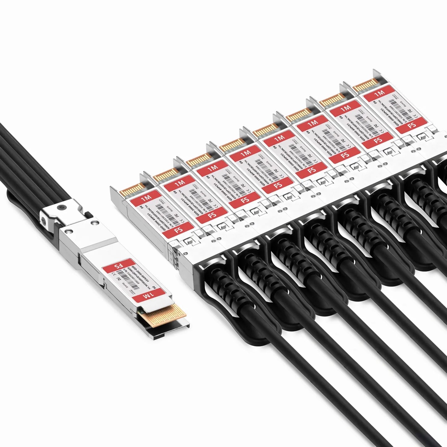 1m (3ft) Dell Compatible 200G QSFP-DD 8 x 25G NRZ to 8 x 25G SFP28 25G NRZ Passive Direct Attach Copper Breakout Cable