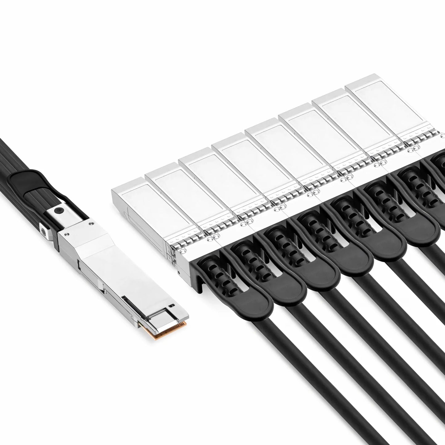 0.5m (2ft) Dell Compatible 200G QSFP-DD 8 x 25G NRZ to 8 x 25G SFP28 25G NRZ Passive Direct Attach Copper Breakout Cable