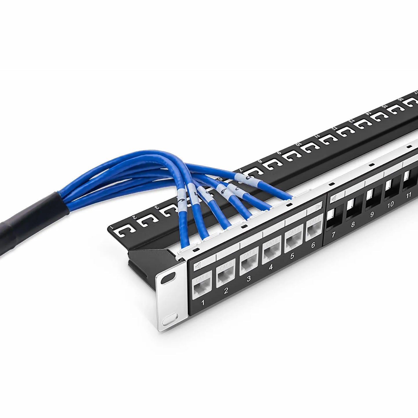 10ft (3m) 6 Jack to 6 Jack Cat6 Unshielded (UTP) PVC CMR Blue Pre-Terminated Copper Trunk Cable