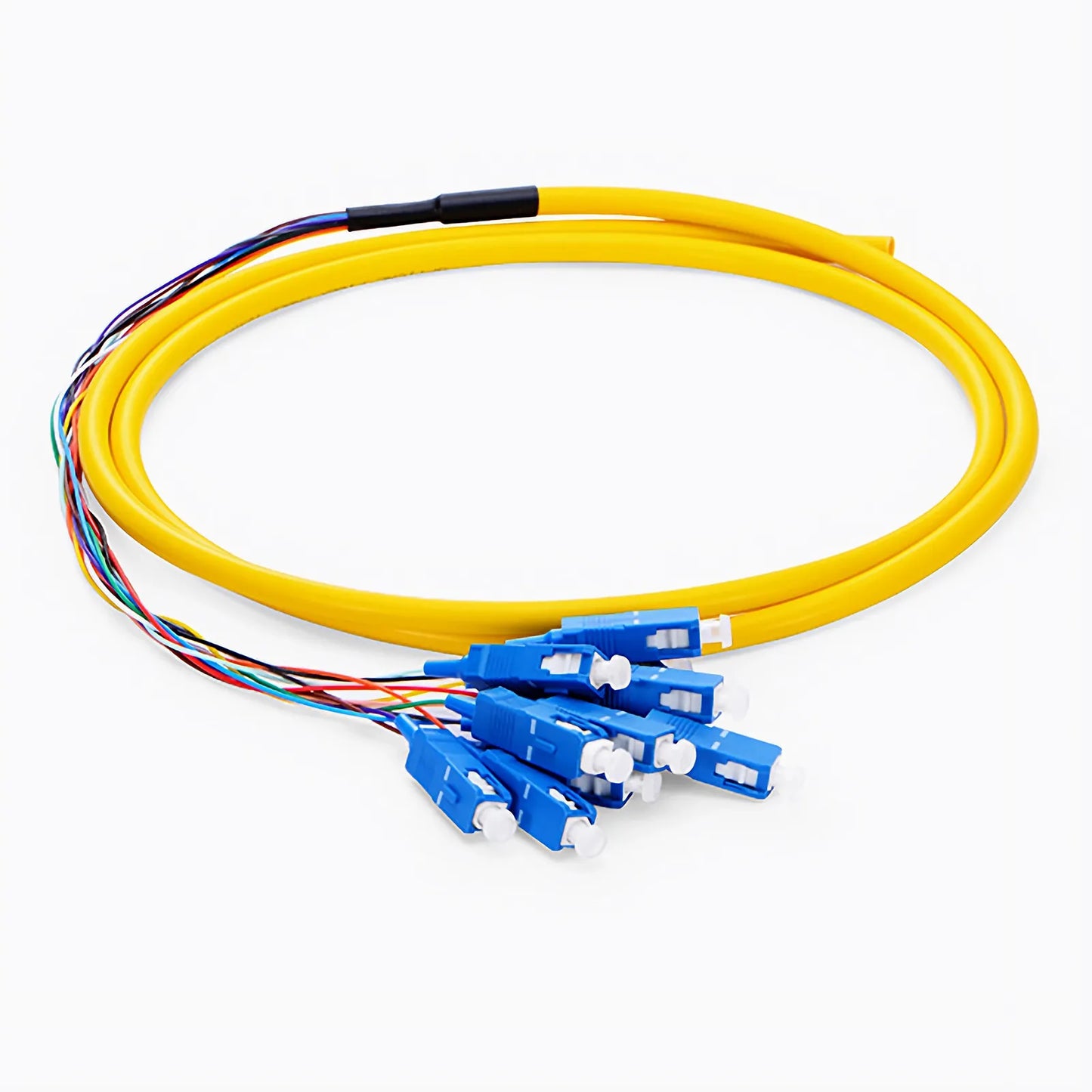 1.5m (5ft) Fiber Pigtail, SC UPC to Unterminated, 12 Fibers, Bunch, OS2 Single Mode, PVC (Unrated), 0.9mm, Yellow