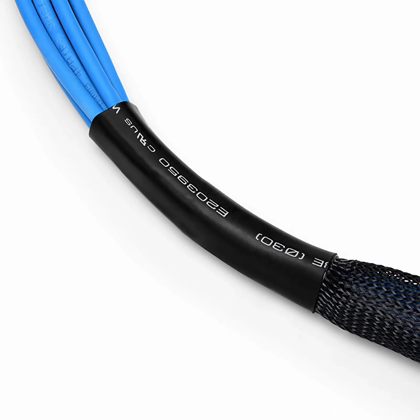 10ft (3m) 6 Plug to 6 Plug Cat6 Unshielded (UTP) PVC CMR Blue Pre-Terminated Copper Trunk Cable