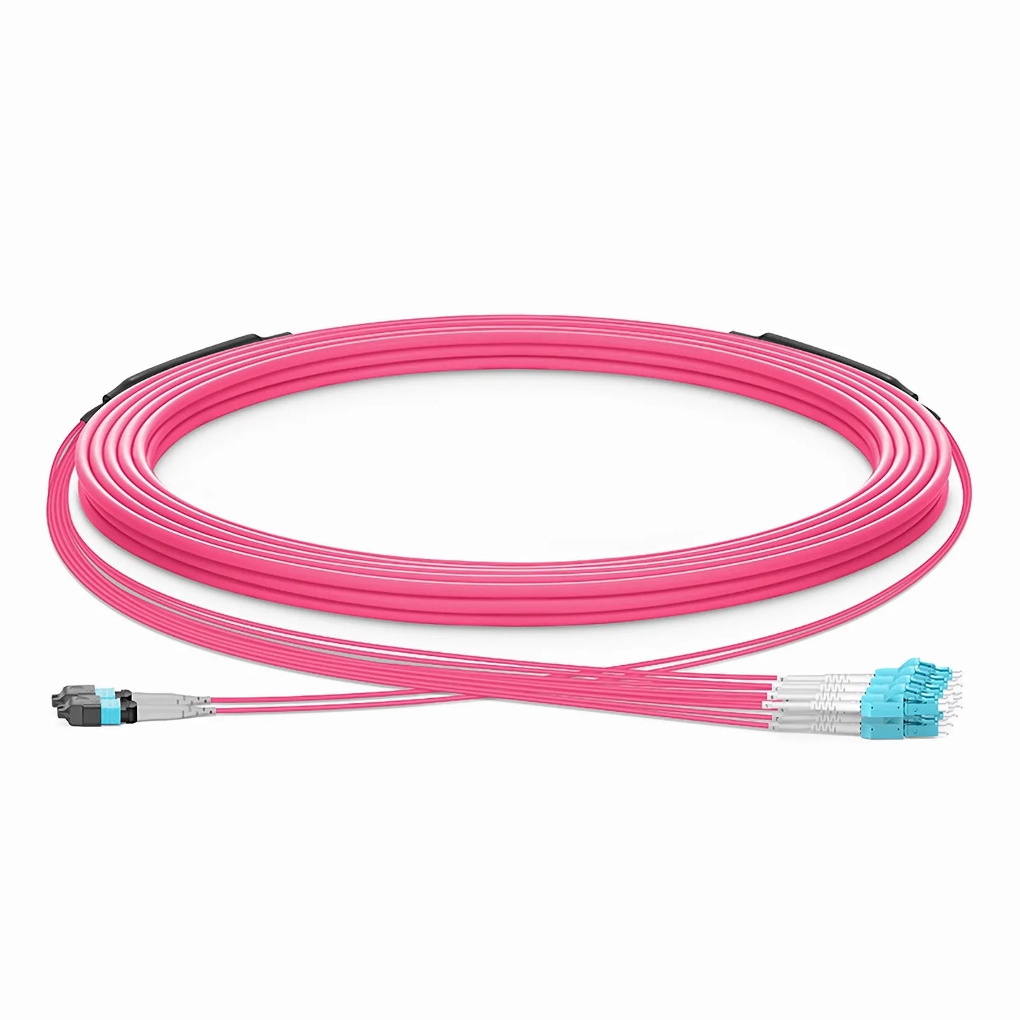 30m (98ft) MTP® Hybrid Trunk Cable, MTP®-8 UPC (Male) to 4 LC UPC Duplex Uniboot, 16 Fibers, Multimode (OM4), Plenum (OFNP), 0.20dB Max, Type B, Double Jacket, Magenta