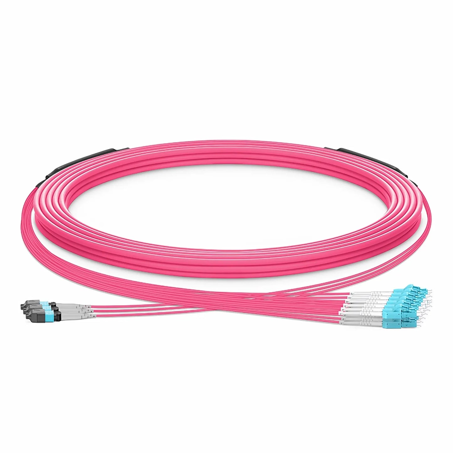 30m (98ft) MTP® Hybrid Trunk Cable, MTP®-8 UPC (Female) to 4 LC UPC Duplex Uniboot, 24 Fibers, Multimode (OM4), Plenum (OFNP), 0.20dB Max, Type B, Double Jacket, Magenta