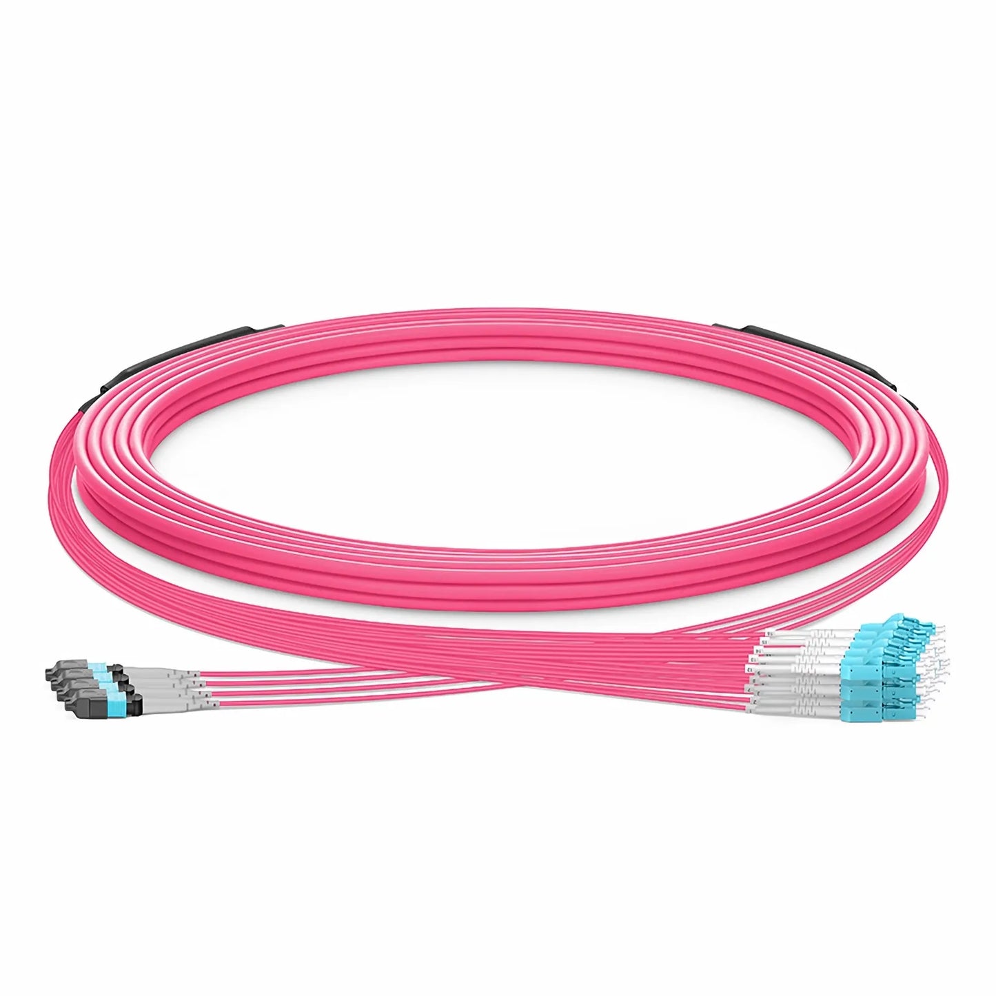 30m (98ft) MTP® Hybrid Trunk Cable, MTP®-8 UPC (Female) to 4 LC UPC Duplex Uniboot, 32 Fibers, Multimode (OM4), Plenum (OFNP), 0.20dB Max, Type B, Double Jacket, Magenta
