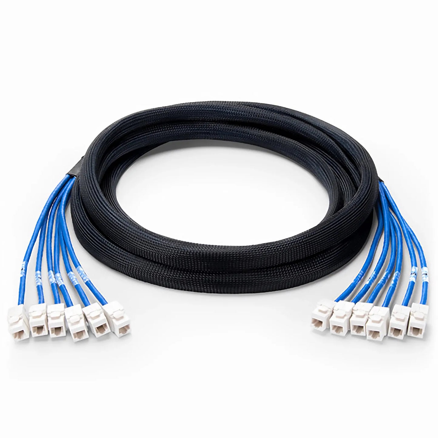 82ft (25m) 6 Jack to 6 Jack Cat6 Unshielded (UTP) PVC CMR Blue Pre-Terminated Copper Trunk Cable