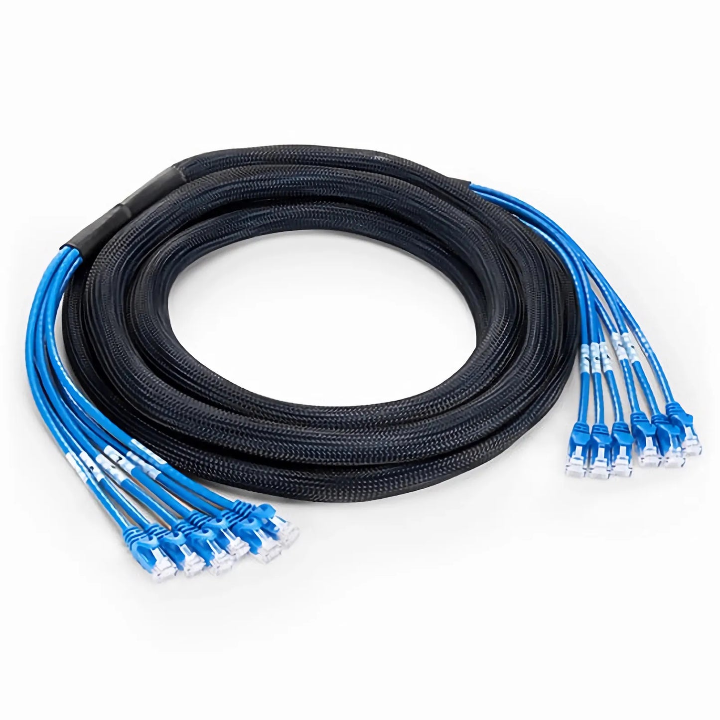 10ft (3m) 6 Plug to 6 Plug Cat6 Unshielded (UTP) PVC CMR Blue Pre-Terminated Copper Trunk Cable