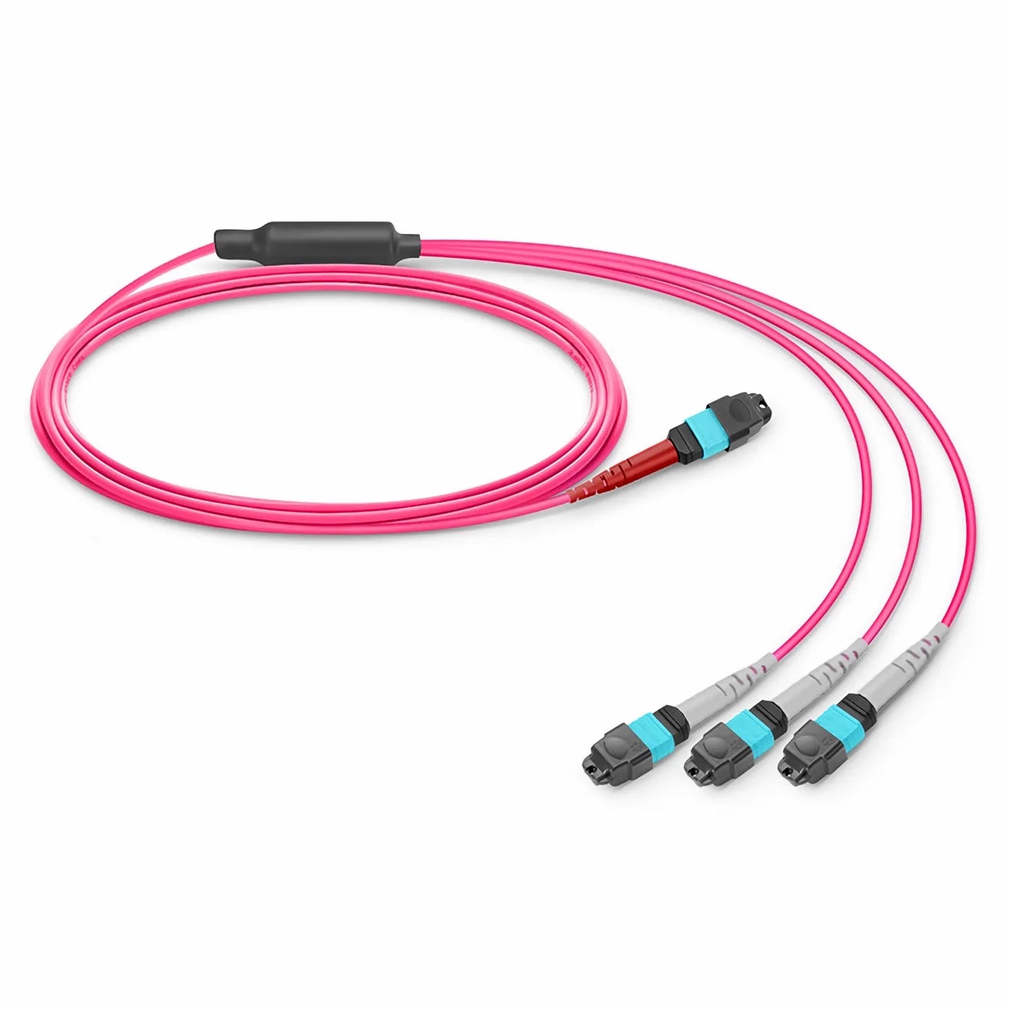 2m (7ft) MTP® Breakout Cable, MTP®-24 UPC (Female) to 3 x MTP®-8 UPC (Female), 24 Fibers, Multimode (OM4), Plenum (OFNP), 0.35dB Max, Type B, Magenta