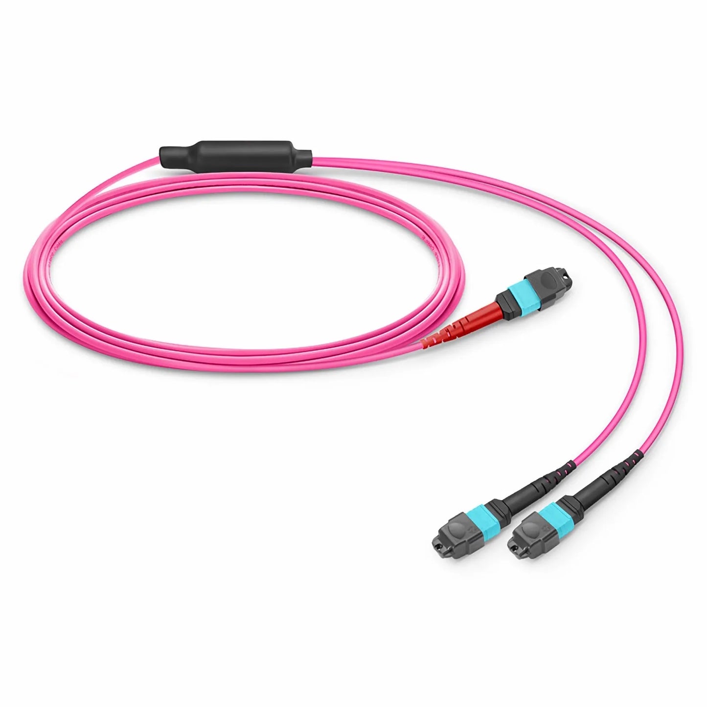 10m (33ft) MTP® Breakout Cable, MTP®-24 UPC (Female) to 2 x MTP®-12 UPC (Female), 24 Fibers, Multimode (OM4), Plenum (OFNP), 0.35dB Max, Type A, Magenta