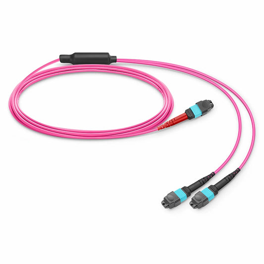 10m (33ft) MTP® Breakout Cable, MTP®-24 UPC (Female) to 2 x MTP®-12 UPC (Female), 24 Fibers, Multimode (OM4), Plenum (OFNP), 0.35dB Max, Type A, Magenta