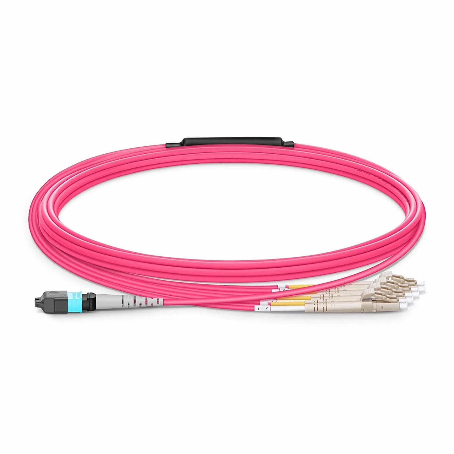 5m (16ft) MTP® Harness, MTP®-8 UPC (Female) to 4 x LC UPC Duplex, 8 Fibers, Multimode (OM4), Plenum (OFNP), 0.35dB Max, Type B, Magenta