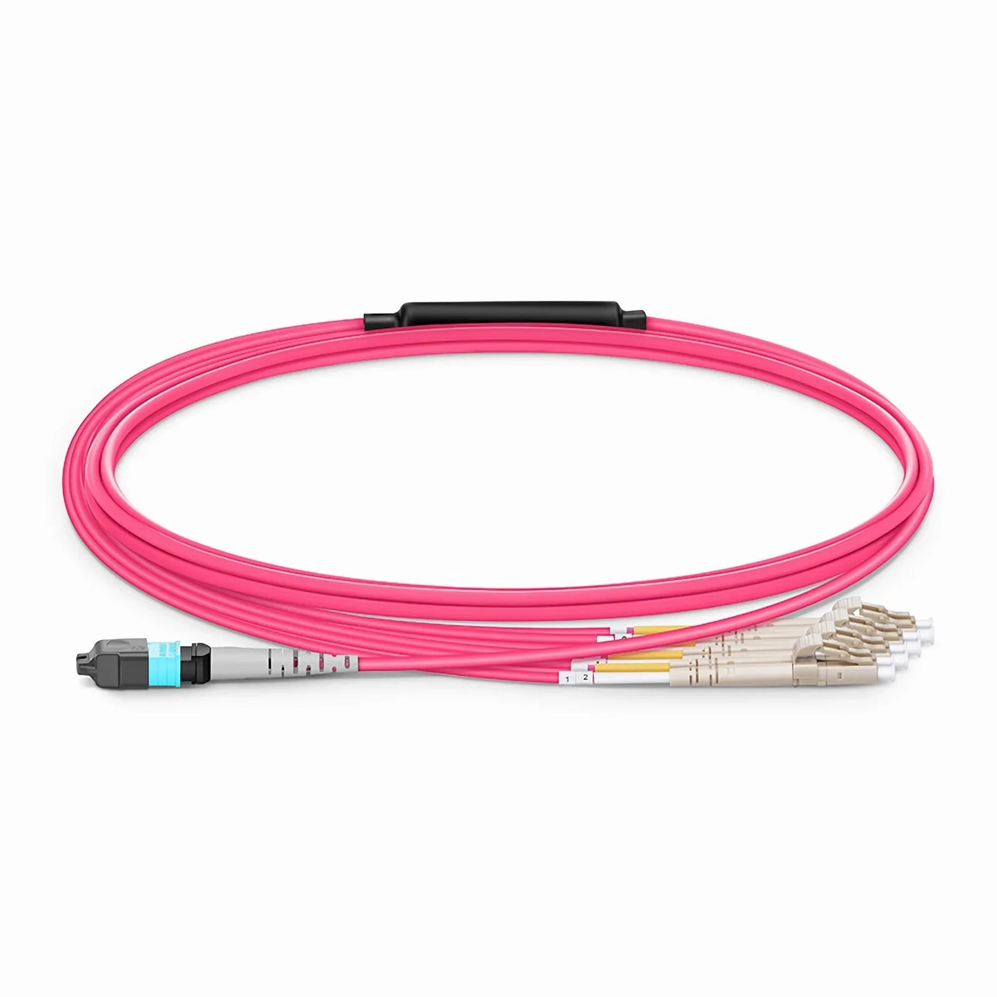 2m (7ft) MTP® Harness, MTP®-8 UPC (Female) to 4 x LC UPC Duplex, 8 Fibers, Multimode (OM4), Plenum (OFNP), 0.35dB Max, Type B, Magenta