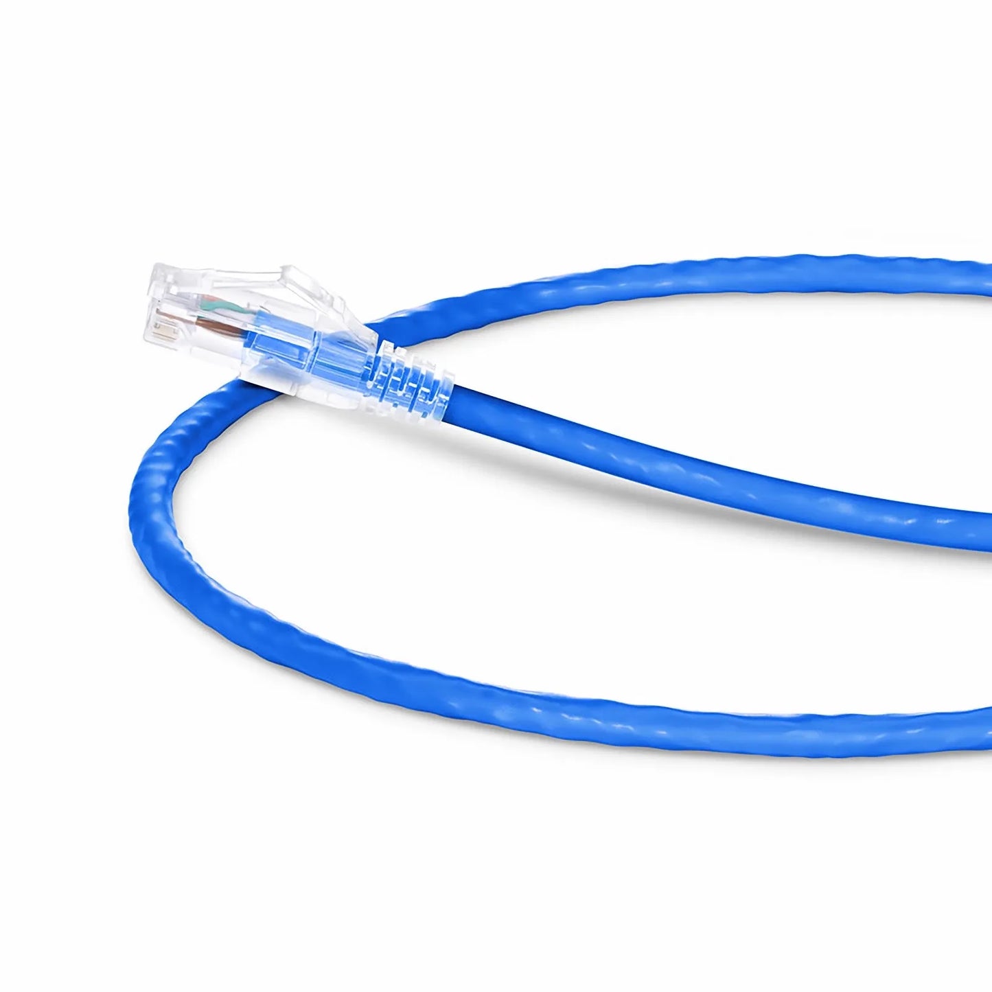 1ft (0.3m) Cat6 24AWG Snagless Unshielded (U/UTP) PVC CM Ethernet Network Patch Cable, Blue