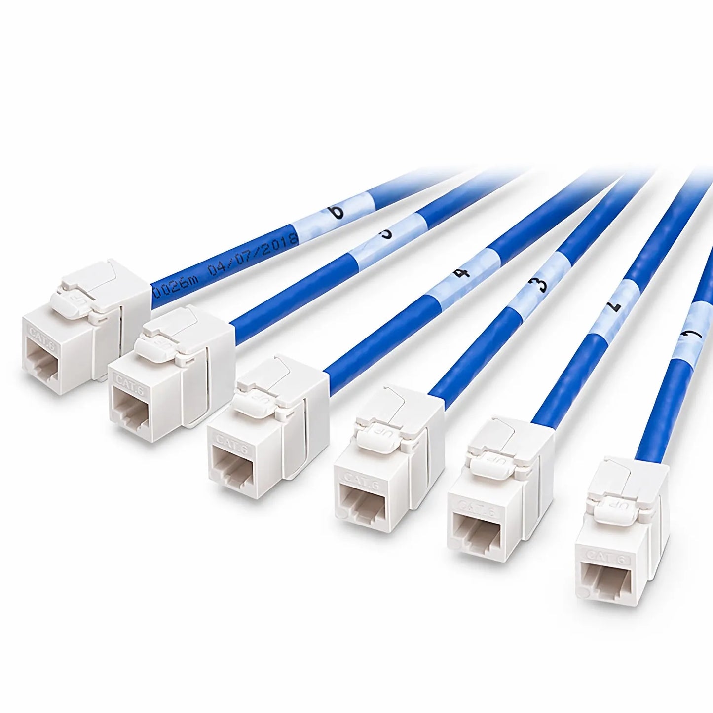 23ft (7m) 6 Jack to 6 Jack Cat6 Unshielded (UTP) PVC CMR Blue Pre-Terminated Copper Trunk Cable