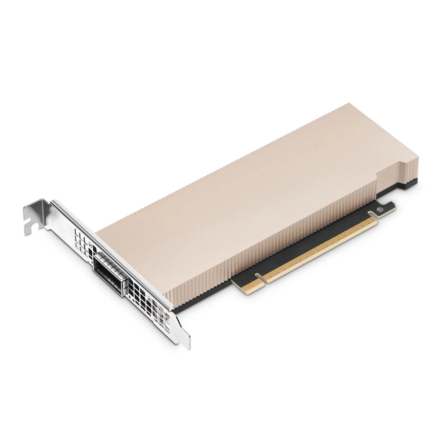 1x 800G OSFP, PCIe 6.0 x16, Crypto