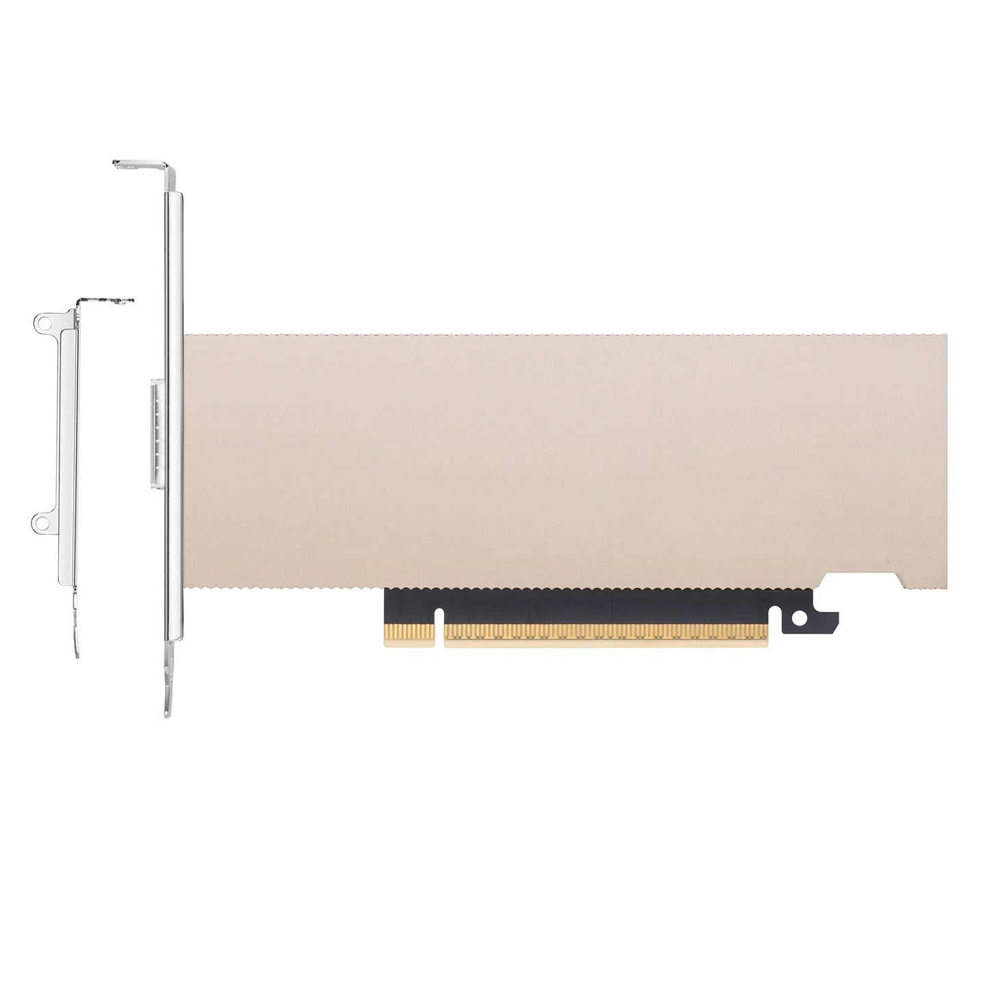 1x 800G OSFP, PCIe 6.0 x16, Crypto