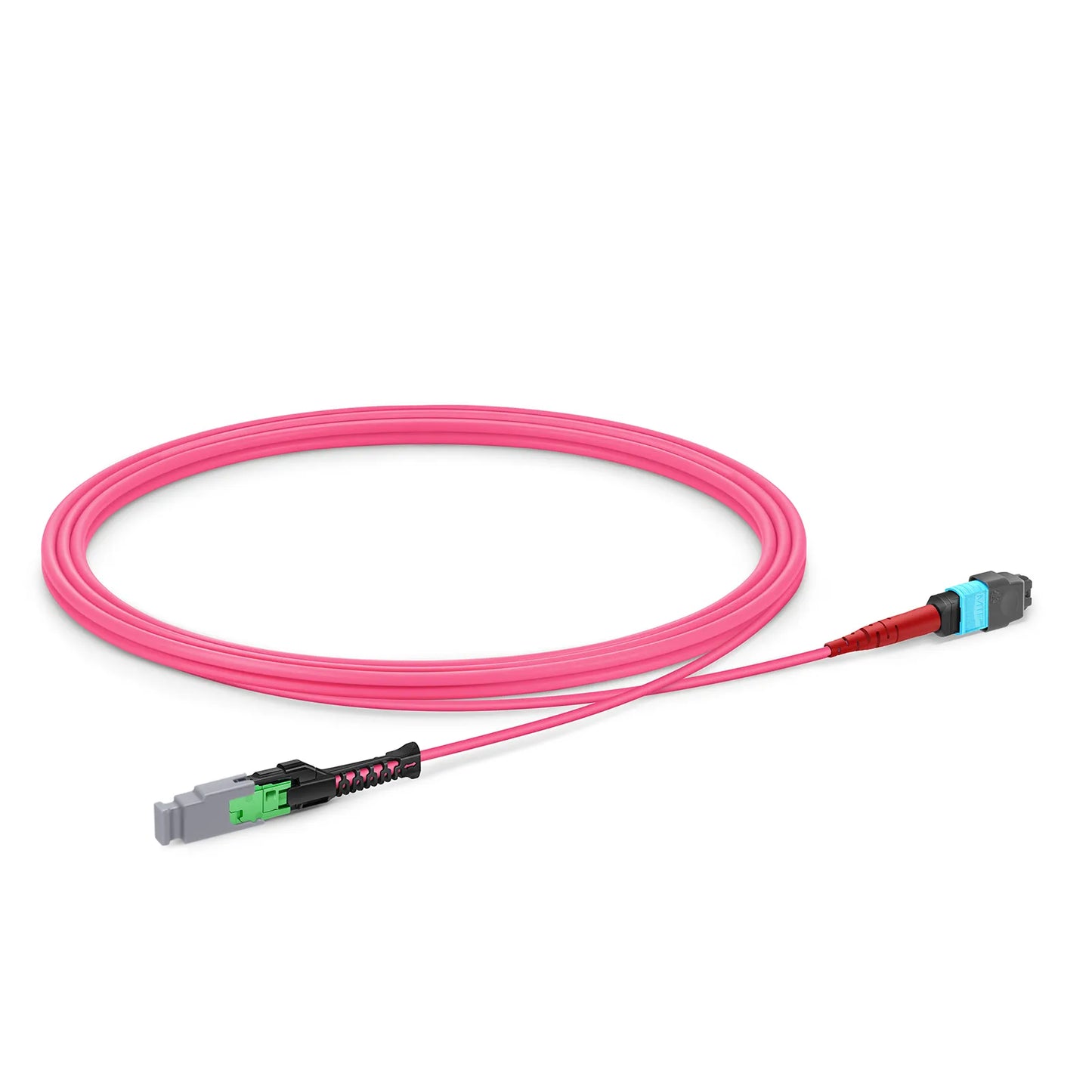 2m (7ft) MMC Jumper, MMC-24 APC (Female) to MTP®-24 UPC (Female), 24 Fibers, Multimode (OM4), Plenum (OFNP), 0.35dB Max, Jumper Polarity, Magenta