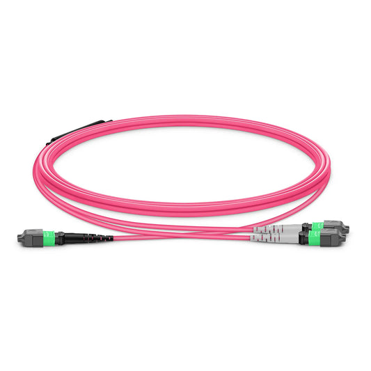 5m (16ft) MTP® Breakout Cable, MTP®-16 APC (Female) to 2 x MTP®-8 APC (Female), 16 Fibers, Multimode (OM4), Plenum (OFNP), 0.35dB Max, Crossover, Magenta