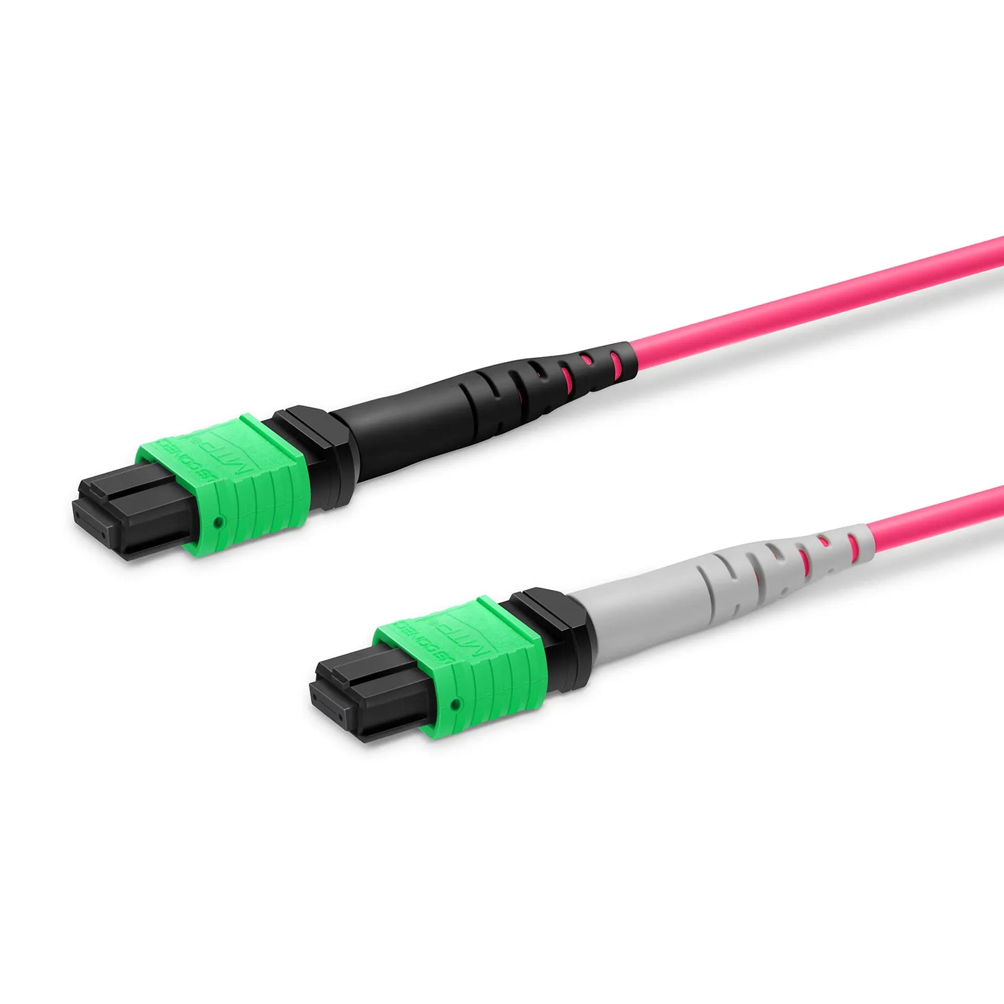 2m (7ft) MTP® Breakout Cable, MTP®-16 APC (Female) to 2 x MTP®-8 APC (Female), 16 Fibers, Multimode (OM4), Plenum (OFNP), 0.35dB Max, Crossover, Magenta