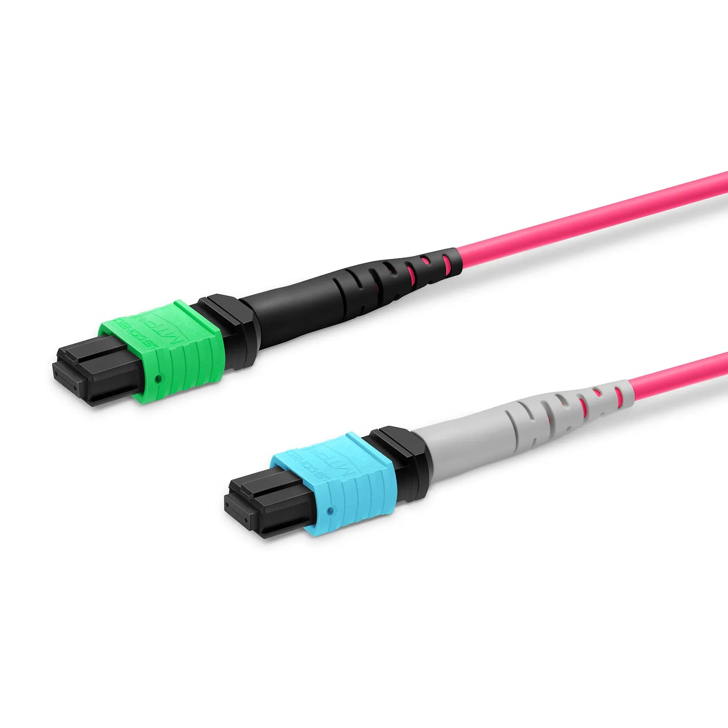 2m (7ft) MTP® Breakout Cable, MTP®-16 APC (Female) to 2 x MTP®-8 UPC (Female), 16 Fibers, Multimode (OM4), Plenum (OFNP), 0.35dB Max, Crossover, Magenta