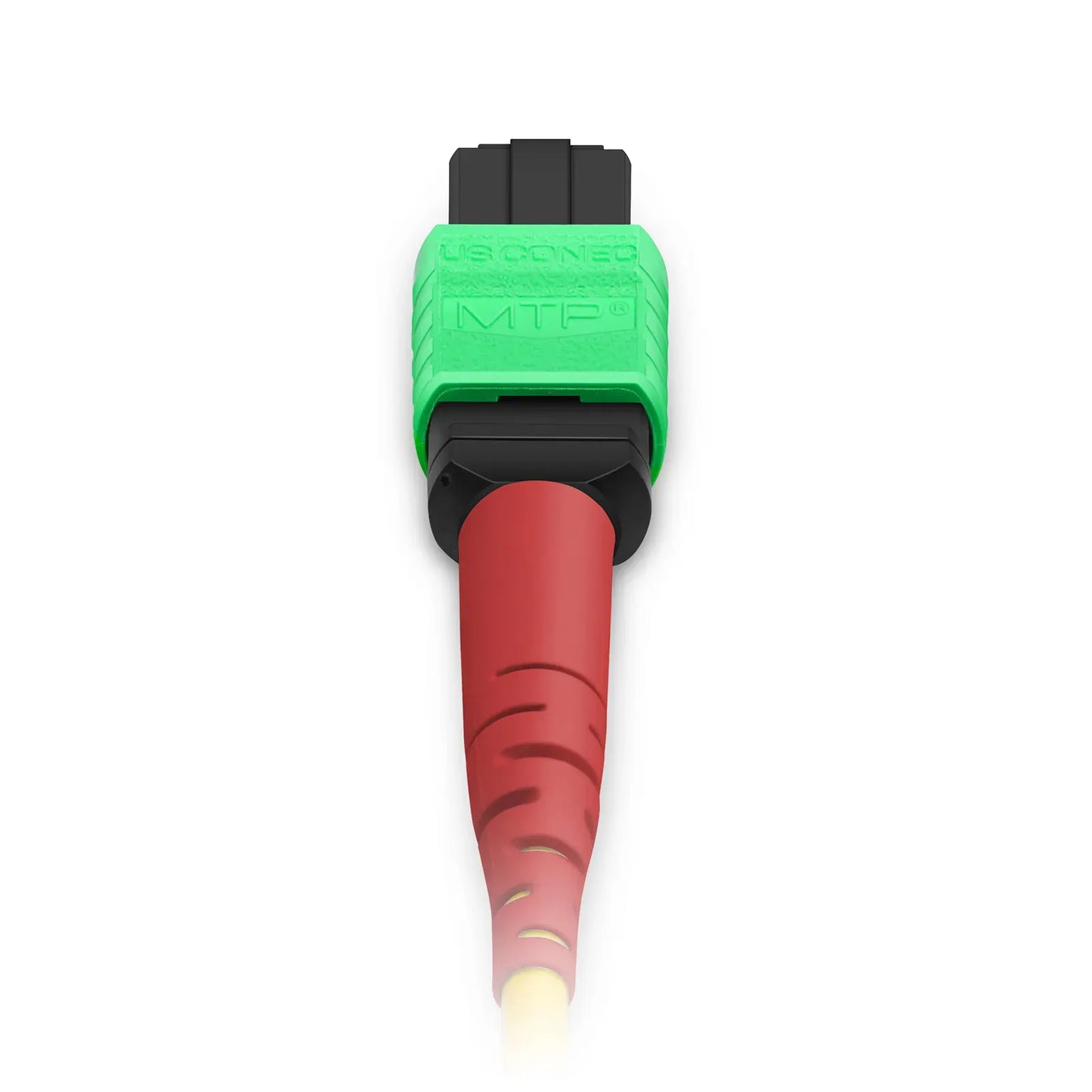 3m (10ft) MTP® Breakout Cable, MTP®-24 APC (Female) to 2 x MTP®-12 APC (Female), 24 Fibers, Single Mode (OS2), Plenum (OFNP), 0.35dB Max, Type A, Yellow
