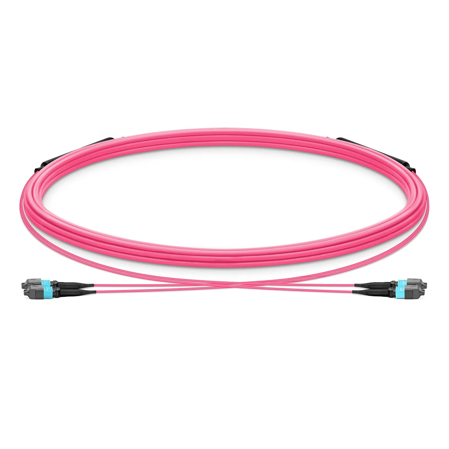 5m (16ft) MTP® Trunk Cable, MTP®-12 UPC (Female) to MTP®-12 UPC (Female), 24 Fibers, Multimode (OM4), Plenum (OFNP), 0.20dB Max, Type B, Double Jacket, Magenta