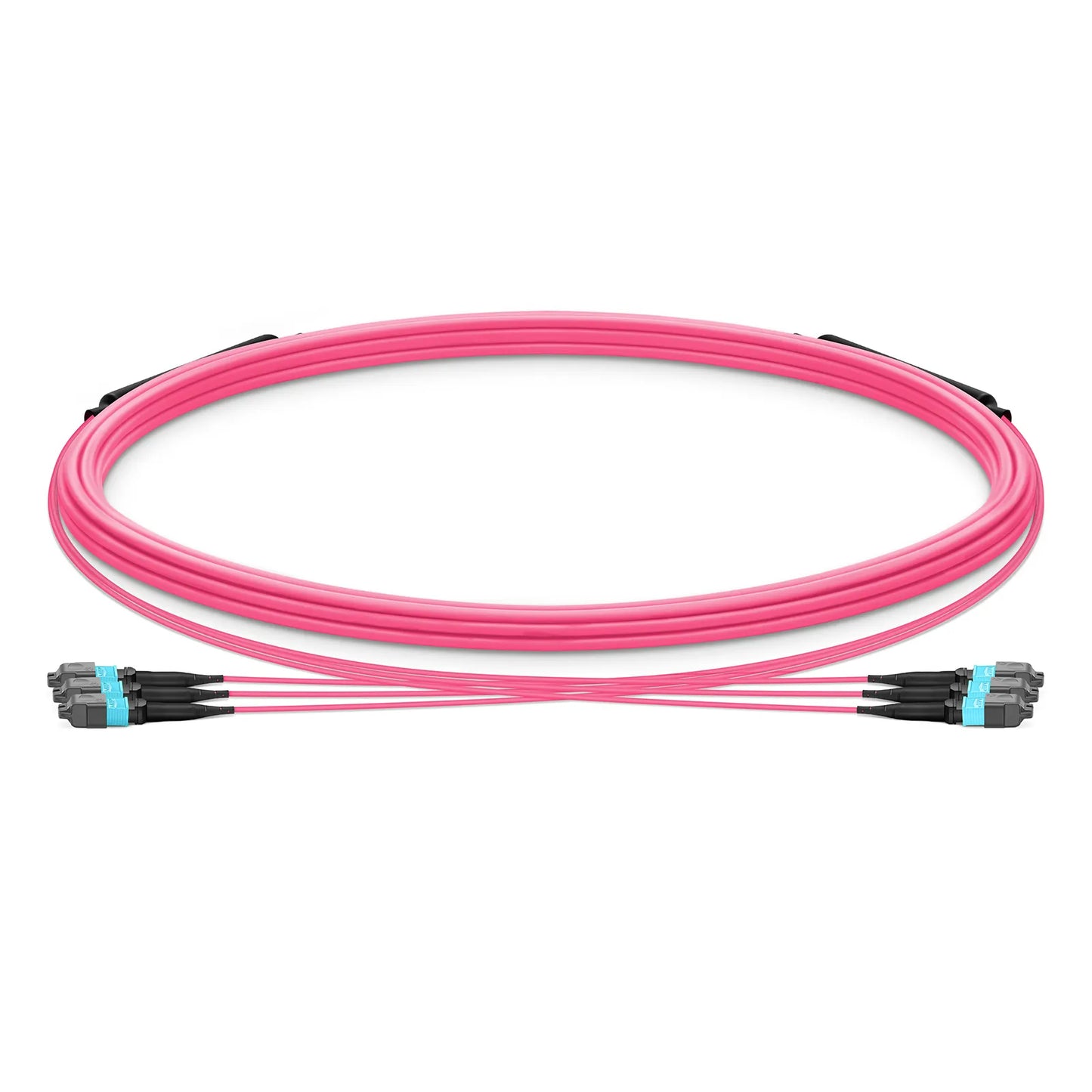 5m (16ft) MTP® Trunk Cable, MTP®-12 UPC (Female) to MTP®-12 UPC (Female), 36 Fibers, Multimode (OM4), Plenum (OFNP), 0.20dB Max, Type B, Double Jacket, Magenta