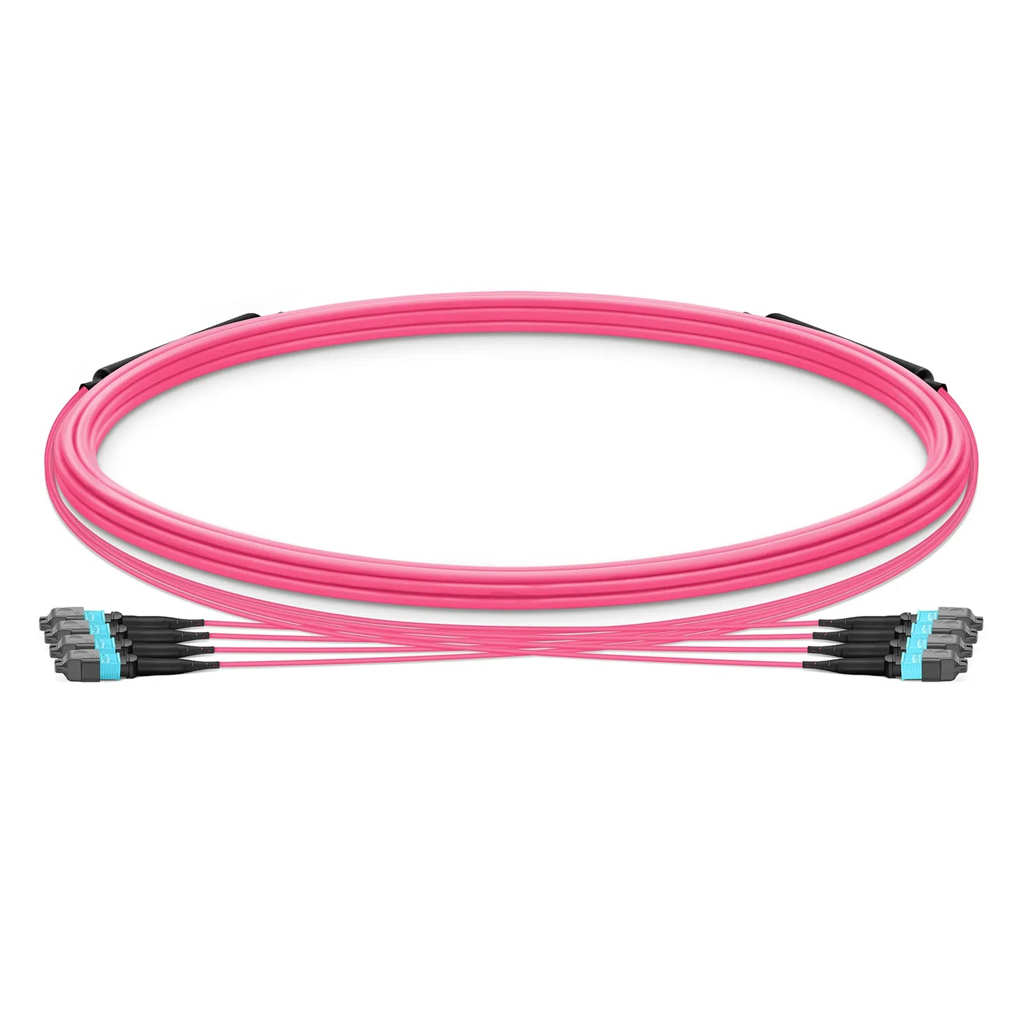 5m (16ft) MTP® Trunk Cable, MTP®-12 UPC (Female) to MTP®-12 UPC (Female), 48 Fibers, Multimode (OM4), Plenum (OFNP), 0.20dB Max, Type B, Double Jacket, Magenta