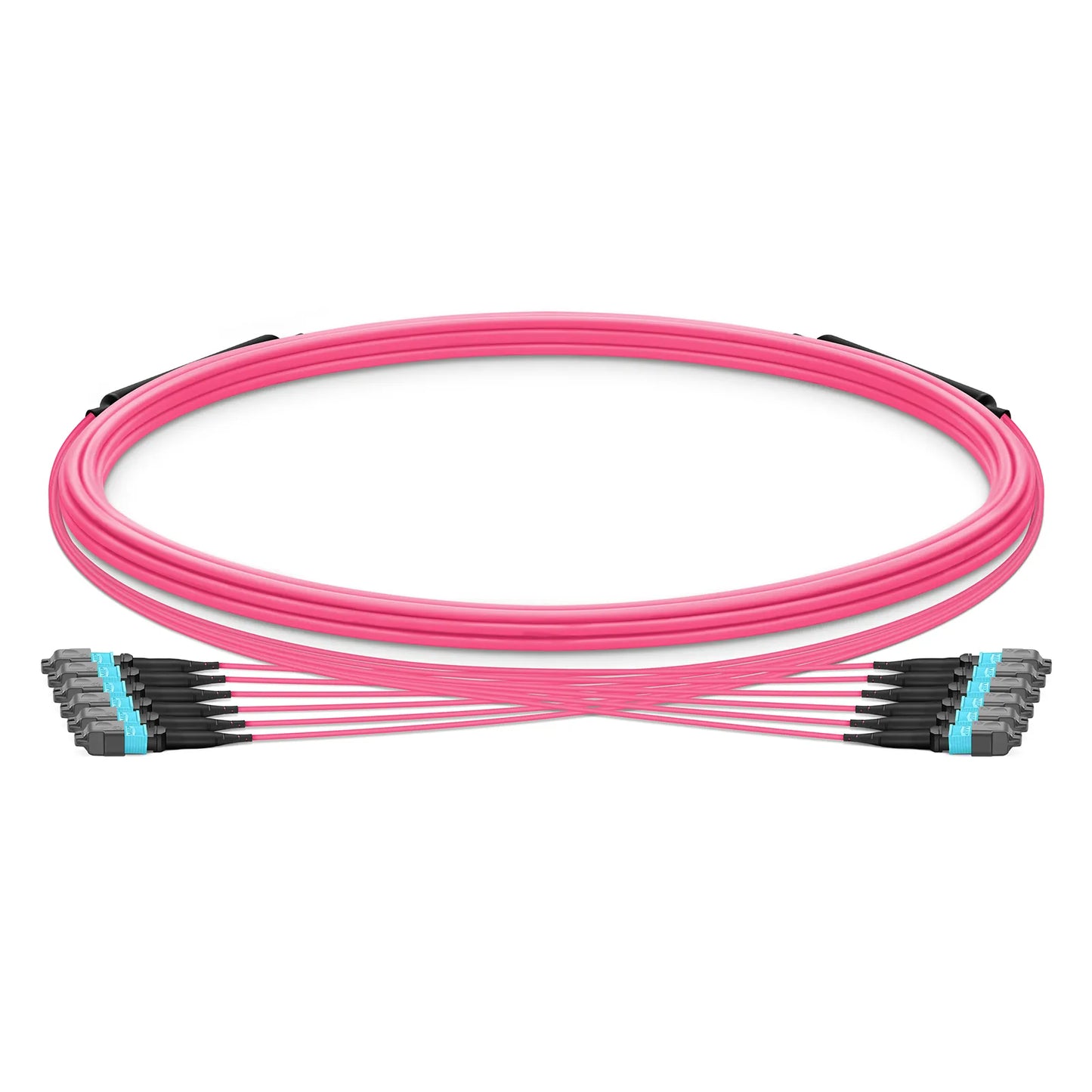 5m (16ft) MTP® Trunk Cable, MTP®-12 UPC (Female) to MTP®-12 UPC (Female), 72 Fibers, Multimode (OM4), Plenum (OFNP), 0.20dB Max, Type B, Double Jacket, Magenta