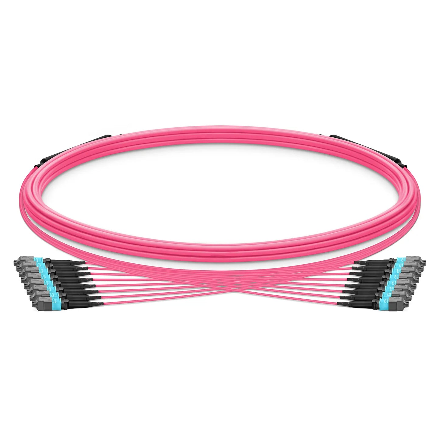5m (16ft) MTP® Trunk Cable, MTP®-12 UPC (Female) to MTP®-12 UPC (Female), 96 Fibers, Multimode (OM4), Plenum (OFNP), 0.20dB Max, Type B, Double Jacket, Magenta