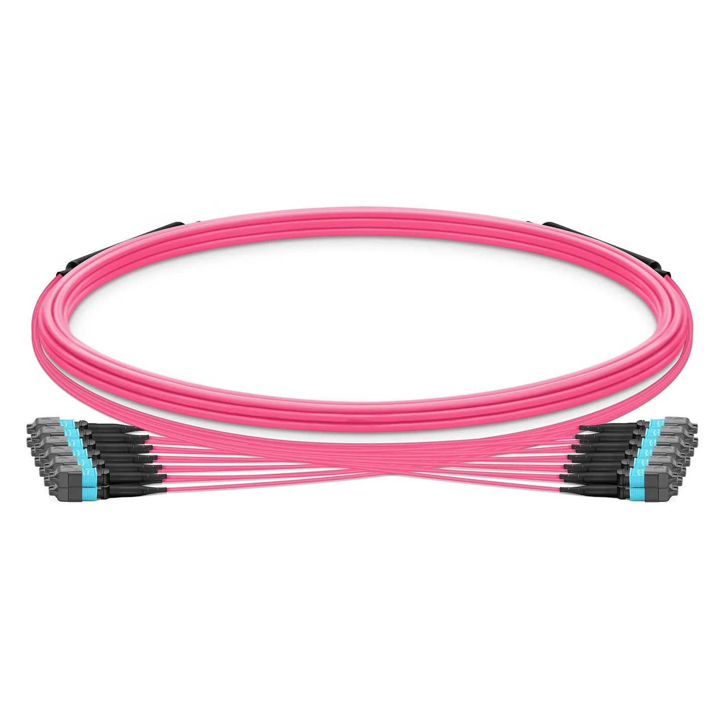 5m (16ft) MTP® Trunk Cable, MTP®-12 UPC (Female) to MTP®-12 UPC (Female), 144 Fibers, Multimode (OM4), Plenum (OFNP), 0.20dB Max, Type B, Double Jacket, Magenta