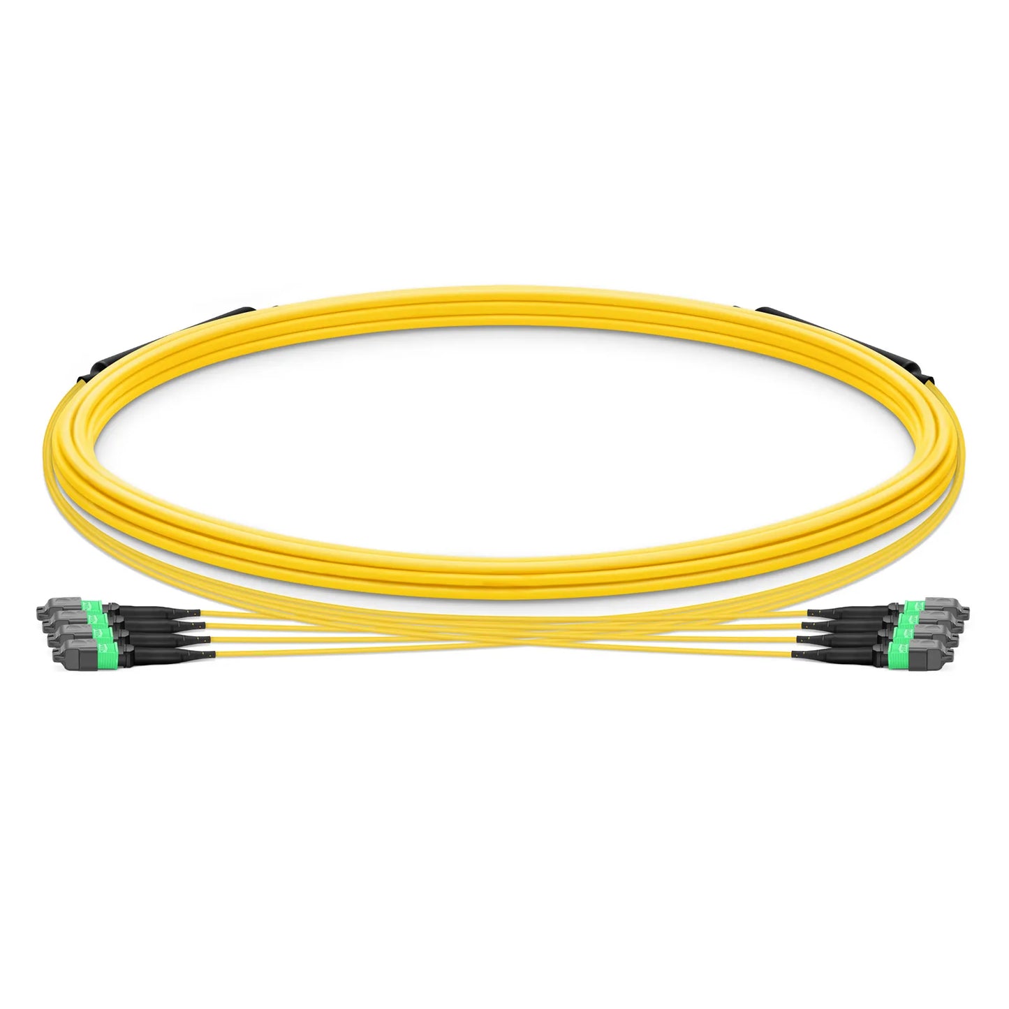 5m (16ft) MTP® Trunk Cable, MTP®-12 APC (Female) to MTP®-12 APC (Female), 48 Fibers, Single Mode (OS2), Plenum (OFNP), 0.35dB Max, Type B, Double Jacket, Yellow