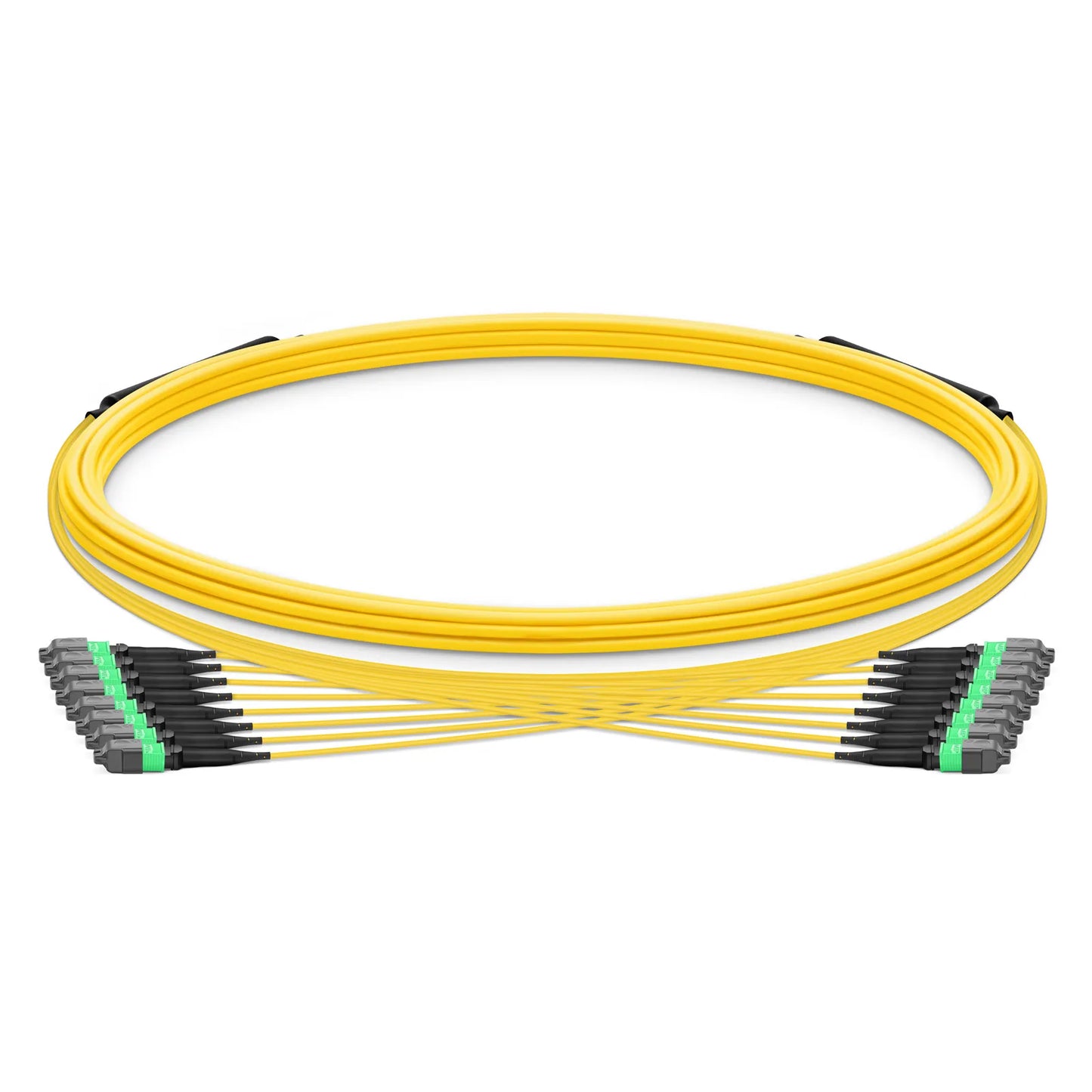 5m (16ft) MTP® Trunk Cable, MTP®-12 APC (Female) to MTP®-12 APC (Female), 96 Fibers, Single Mode (OS2), Plenum (OFNP), 0.35dB Max, Type B, Double Jacket, Yellow